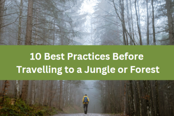 10 Best Practices Before Travelling to a Jungle or Forest