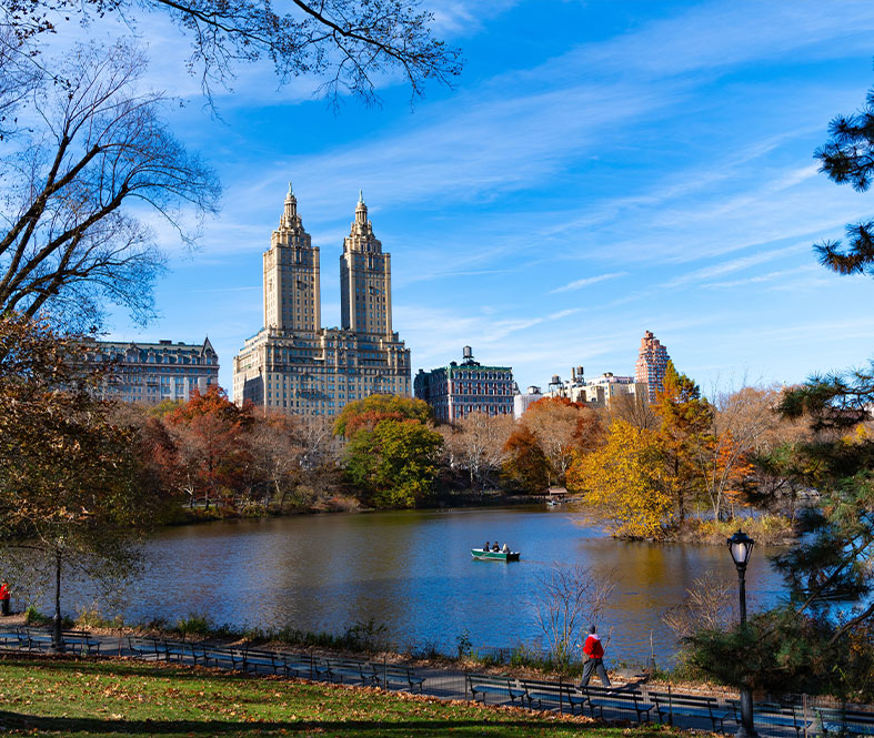 Free and low cost activities