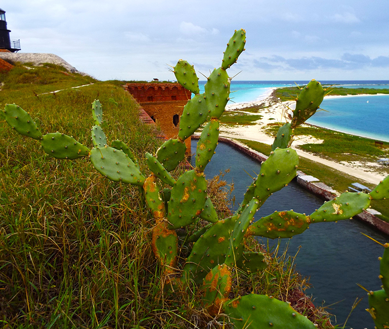 America’s Hidden Coastal Gems: Secluded Shores