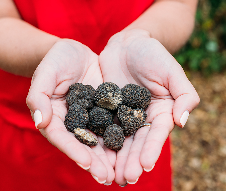 Unique Italian Finds