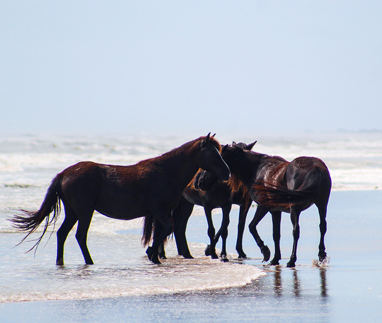 America's hidden coastal gems 